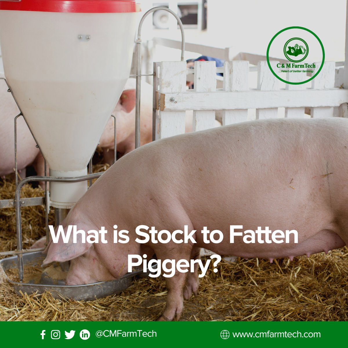 🐖 Source for quality genetics.

🐖 Manage your resources appropriately.

🐖 Develop your skills and knowledge base.

🐖 Fatten numbers that make business sense.

🐖 Ensure strict biosecurity.

🐖 Understand your market.
#Piggery #pigfarming #piggerybusiness #NewWeekNewGoals