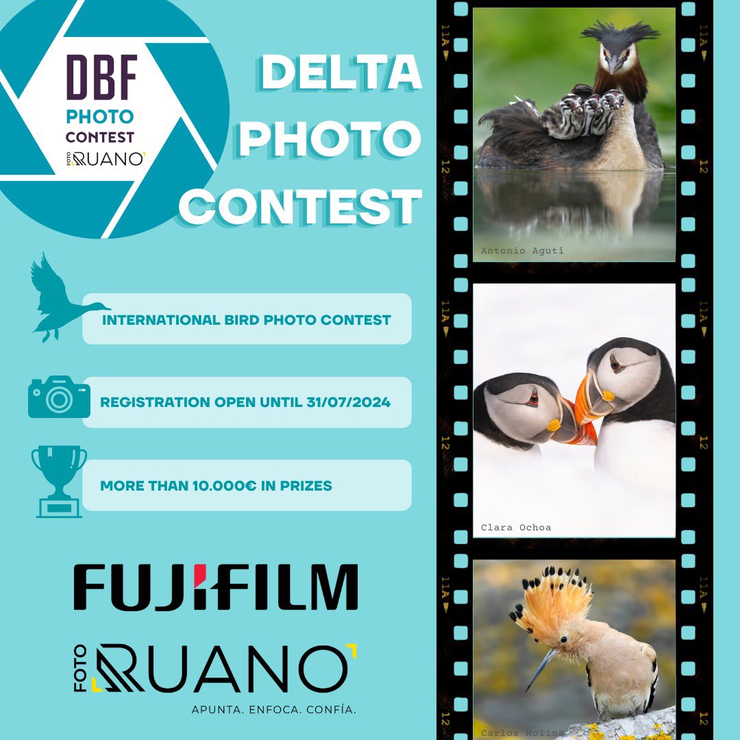 📷 Coneixes els patrocinadors oficials del #DeltaPhotoContest? Aquesta 10a edició del festival repetim col·laboració amb @fujifilm_es es i @FotoRuanoPro ! 

🙌🏻 Us agraïm tot el suport rebut ja en el que portem d’organització del #DBF24!