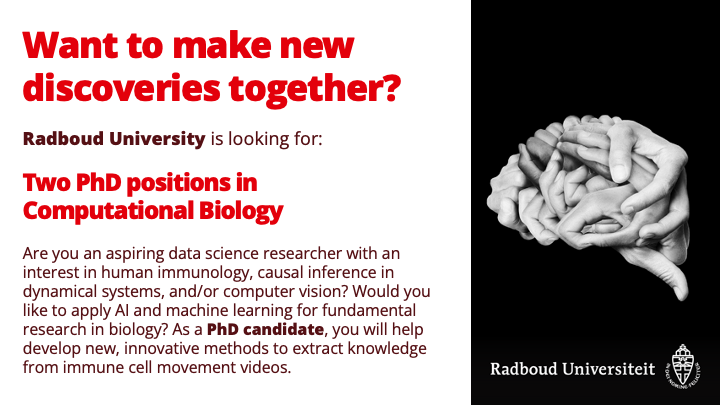 inge_wortel's tweet photo. We are looking for two PhD candidates! 

We have two projects combining machine learning and simulations to learn more from videos of immune cell movement. The projects are related but each have a different focus. 

For details, see: https://t.co/G7yBwjtKLa https://t.co/xZQjniFbvy