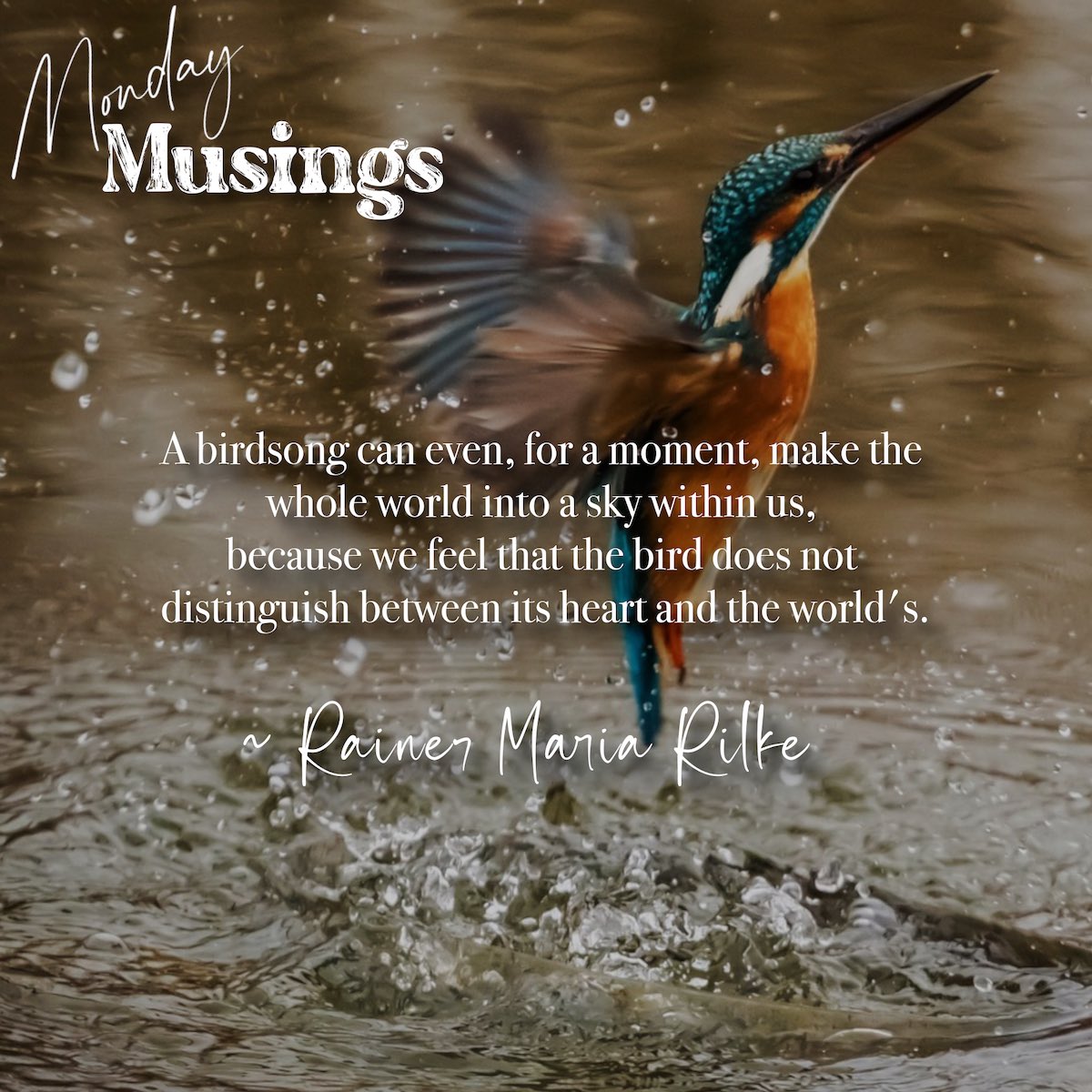 “station of whispering that amplifies. Nature’s radio.”
by: DAJC

#mondaymusings #spring #maymotivation #birds #birdsong #quotestoliveby #naturesradio #poetry #poeticplayground #writinglines #featheredfriends #naturelovers #quotes #rainermariarilke