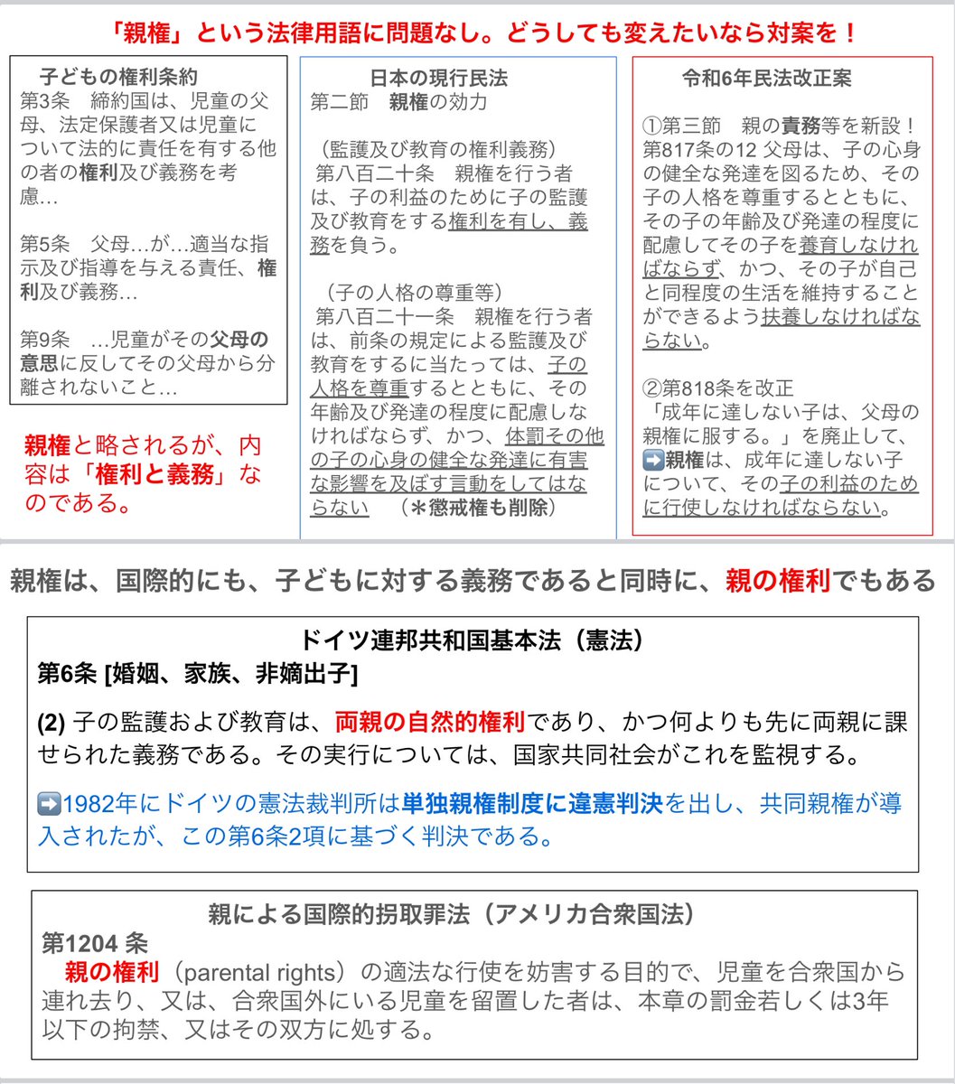 呼称はともかく、いわゆる親権（呼称は親責任でも親配慮でもいいが）は、親の「権利と義務」。

現行民法でも、国会審議中の改正案もそう。
子どもの権利条約も、ドイツもアメリカも親の権利義務。

共同親権反対派は、ただの嘘つき。デマばかり。