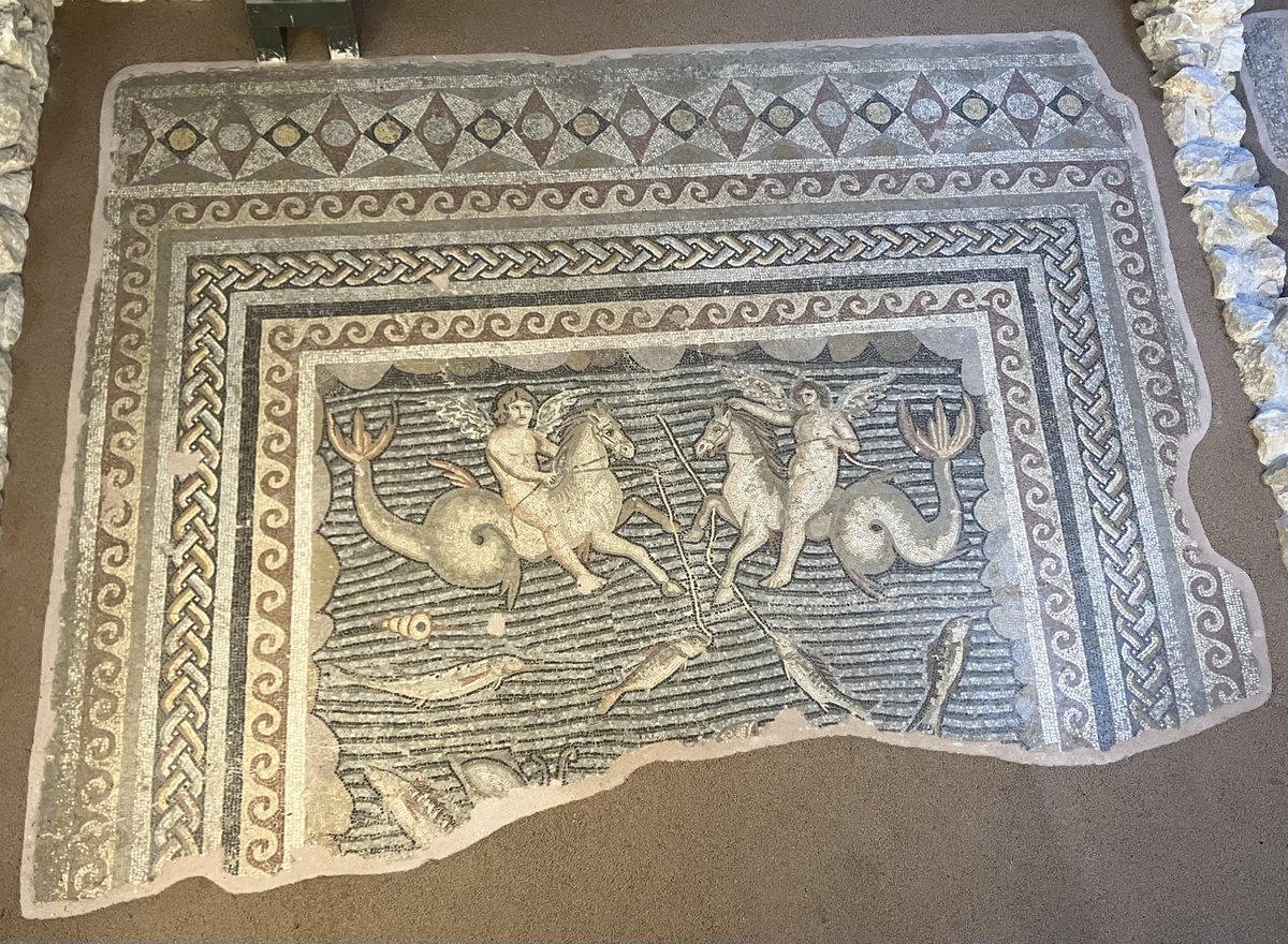 #MosaicMonday #Archaeology #romanarchaeology #Turkey Hippocampus mosaic from Adana