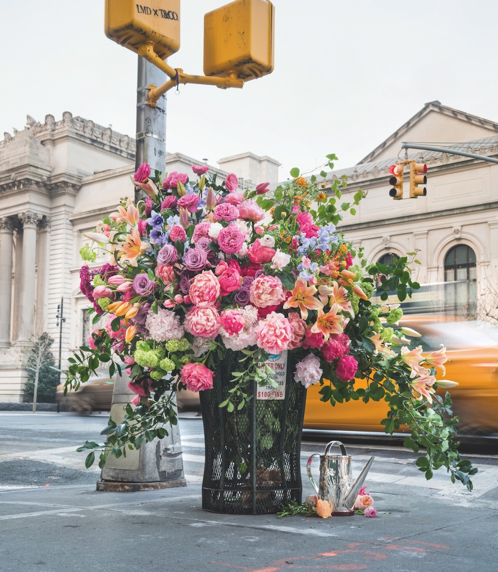 Happy first Monday in May 💐 - 📕 'Flower' 🌼 Flower Flash by Lewis Miller