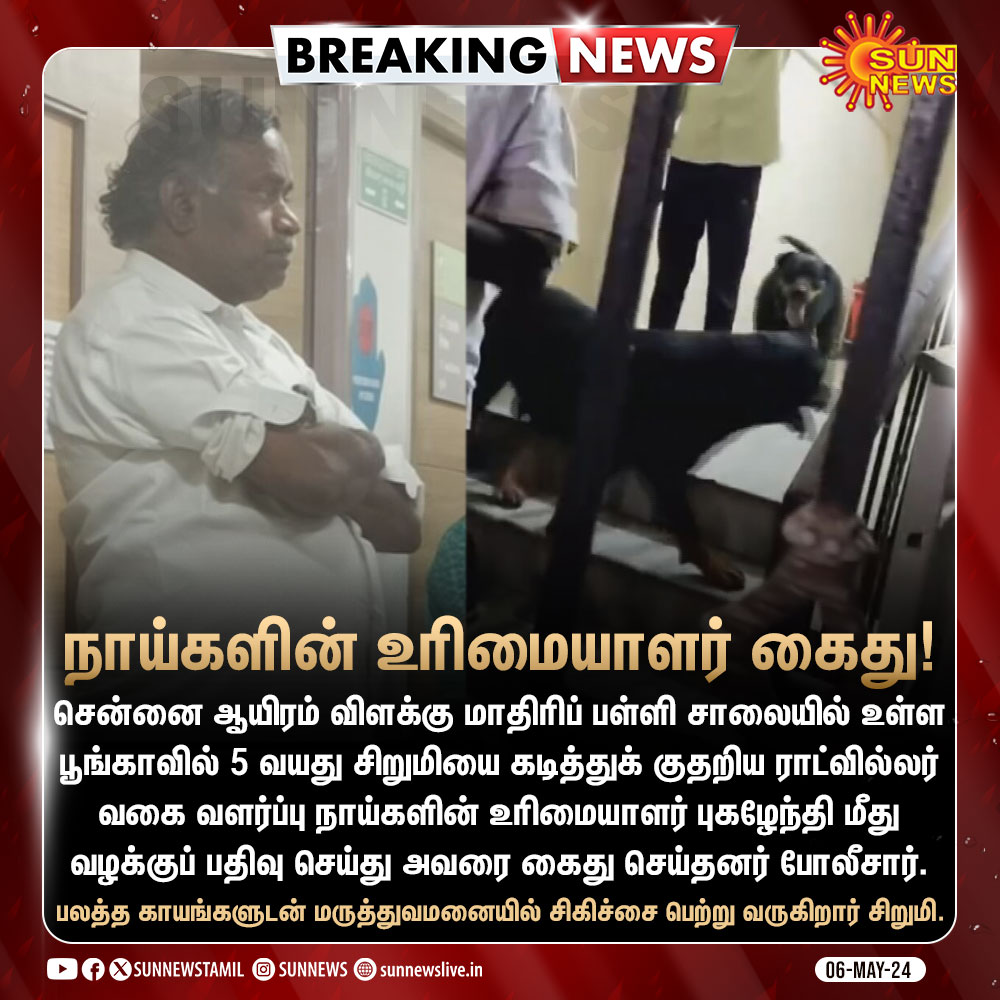 அவன் கடிக்க மாட்டான் சும்மா விளையாடுறான் ஸ்கூபி ரொம்ப நல்லவன் 😳 இப்படி நாய் வளர்க்கும் பல பேர் சொல்லும் போது நமக்கு டென்ஷன் ஏகிறும் 😡😡 உனக்கு தான் அது ஸ்கூபி எங்களுக்கு நாய் தான் அது பாவம்டா குழந்தை