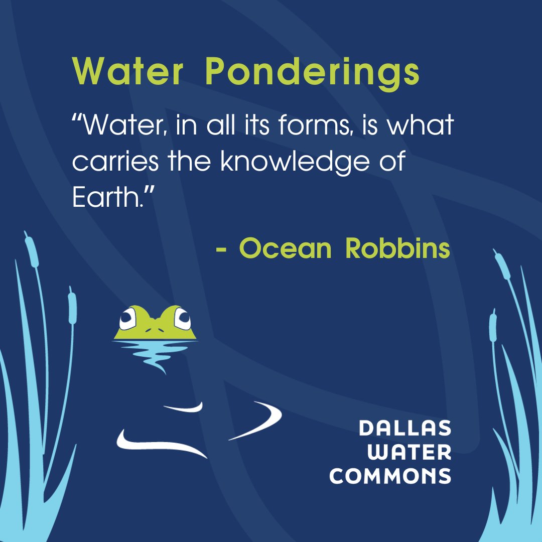#WaterPonderings #DallasCommons #TheCommons #education #citypark #waterconservation #Sustainability #environment #wetlands #urbanplanning #Parks #DallasParksCoalition #waterlab #urbanwater #nature #NatureOfUrbanWater