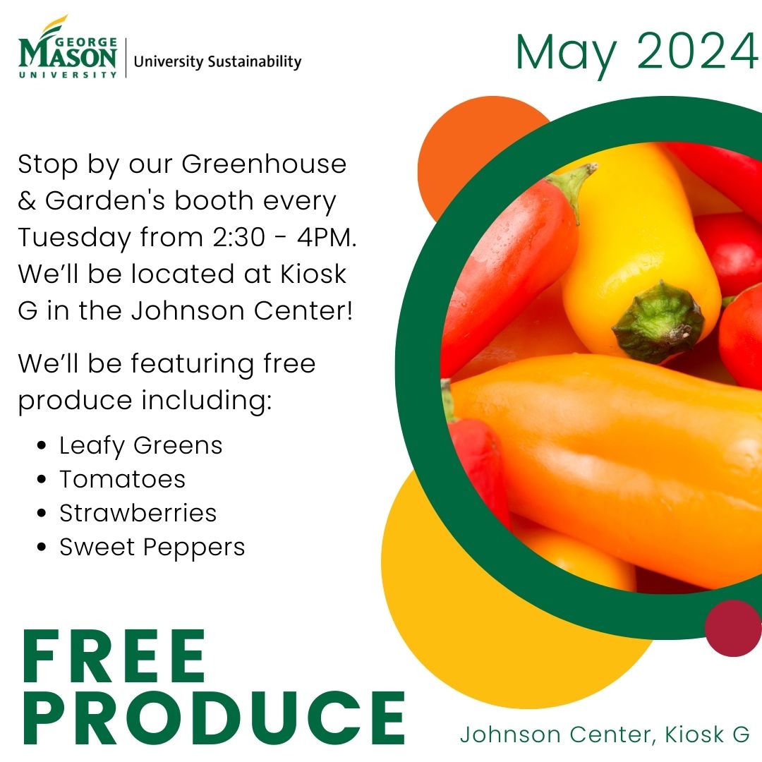 👩‍🌾Join us every Tuesday at our Greenhouse and Garden's table at Kiosk G in the JC! We'll have various free produce including leafy greens, tomatoes, strawberries, and sweet peppers. Hope to see you there, Patriots! #sustainMASON 🌱💚 #Masonnation