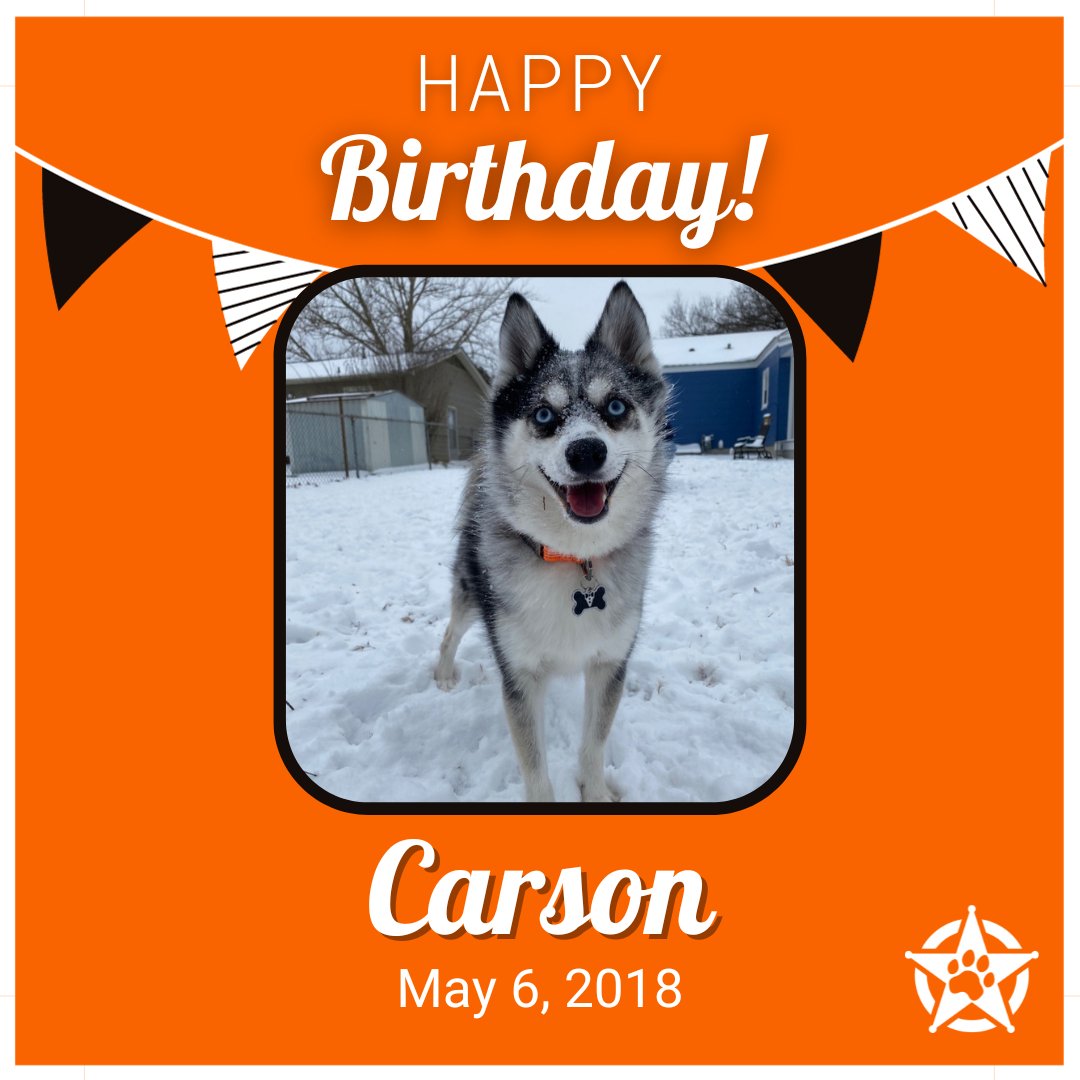 Happy Birthday, Carson!  🎉🎈🎁We hope you have the best day filled with all your favorite things.  Thanks for all you do for all of us at #okstate

#pettherapy