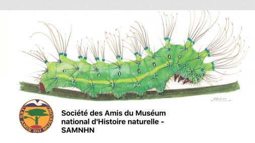 M.A. Selosse professeur @ISYEB_UMR invité de la Société des Amis du @Le_Museum donnera une conférence intitulée : 'Truffe, un monde d'interactions' Samedi 25 mai 2024, à 14h30 à @Le_Museum Amphithéâtre d'entomologie, 45 rue Buffon, Paris En savoir + ▶️isyeb.mnhn.fr/fr/agenda/marc…