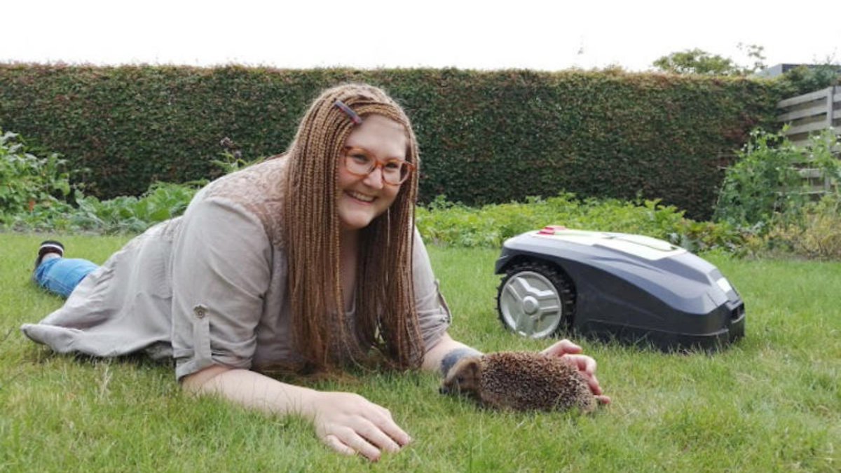 🦔It's the start of #HedgehogAwarenessWeek, a week dedicated to highlighting the problems hedgehogs face and how you can help them. How can you ensure that your lawnmower is hedgehog friendly? Read latest research to find out: ➡️ bit.ly/QUADProtecHedg…
