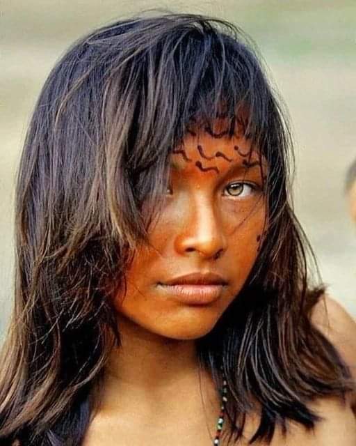 1997年，摄影师Ricardo Stuckert拍摄了这张标志性的照片，照片中的人是来自亚马逊热带雨林的22岁的Yanomani部落女孩Penha Goes。Yanomami是一个土著部落，也被称为Yanamamo、Yanomam和Sanuma，他们居住在委内瑞拉南部和巴西北部的热带雨林中。