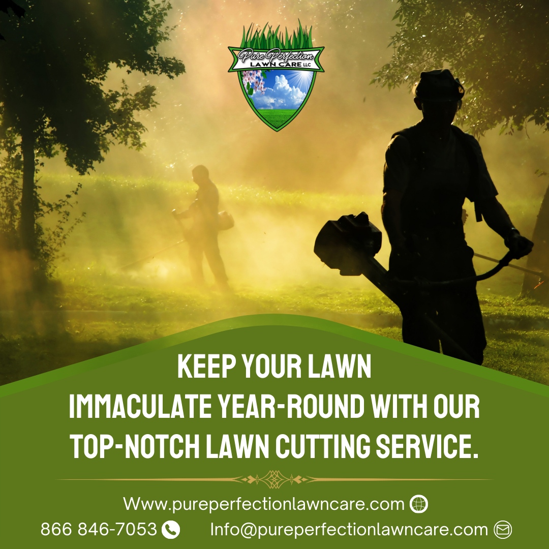 Contact us to schedule your service! ✂️ Sit back, relax, and let us handle your lawn care needs!

🌐 pureperfectionlawncare.com
📞 866 846-7053
📧 Info@pureperfectionlawncare.com

#PurePerfectionLawnCare #lawncare #landscaping #lawn #lawnmaintenance
