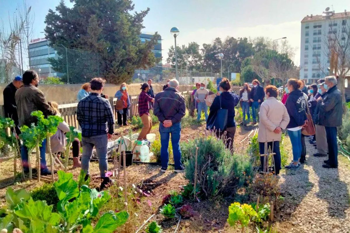Terras de Cascais, @CMCascais's Urban Agriculture Strategy, encourages the production of locally-grown organic food, promotes sustainable consumption habits, & enhances social inclusion

Finalist in the @AIPHGlobal #WorldGreenCityAwards 2024🏅

#CaseStudy: aiph.org/green-city-cas…