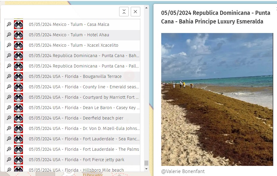 May. 5th 2024 #PuntaCana
#RepubliqueDominicaine #DominicanRepublic #RepublicaDominicana

Forecast, News & Official Map 
here--> sargassummonitoring.com

#sargassum  #sargazo #sargasses #sargassummonitoring #SurveillancedesSargasses #MonitoreodeSargazo  #sargassumseaweedupdates