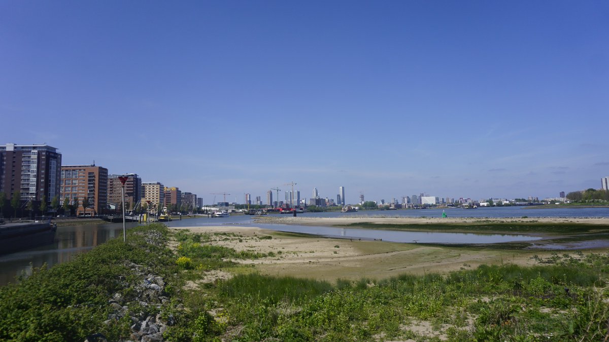 26 mei: schrijfworkshop natuur @rotterdam door @bosw8erthijmen ARK Rewilding Nederland en Rosanne van der Voet @UniLeiden! Wat betekent Rotterdam voor jou als het gaat om water, #klimaatverandering en het terugbrengen van de natuur in de Rijn- Maasmonding? rotterdamsedakendagen.nl/productie/schr…