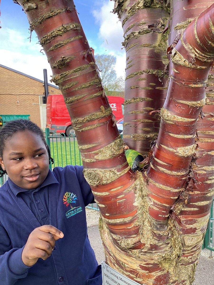Y3Claytonce's tweet photo. Y3 have been busy making some bee pebble art for Mrs Rhode's memorial garden. Some bees have also been hidden around the village. If you find one, send us a picture and tag us @Y3ClaytonCE Don't forget to re-hide the pebbles once you have taken a picture! @ClaytonCEStJohn https://t.co/GM0bCKATJt