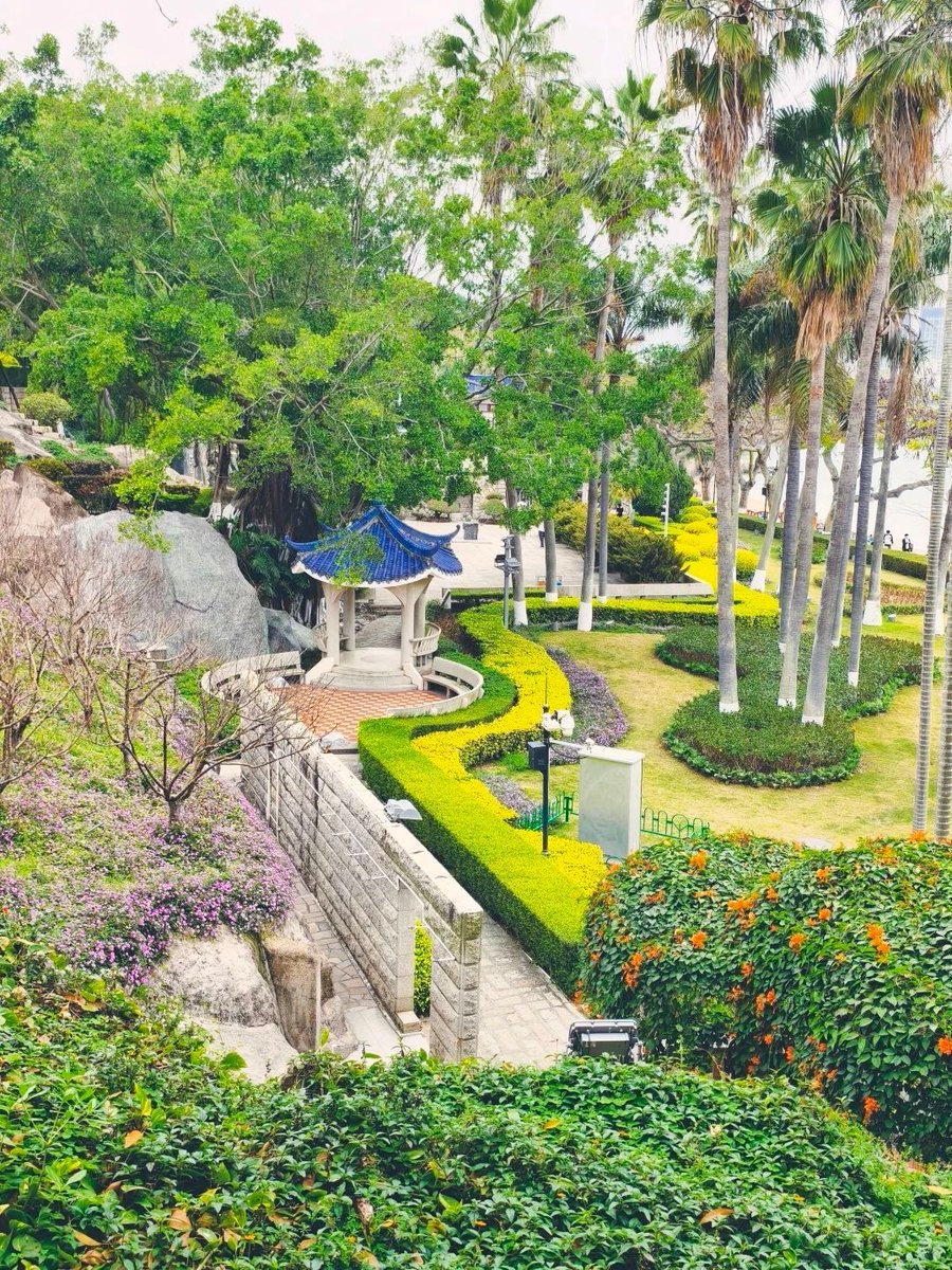 Xiamen’s laid-back vibe is hidden in the parks around the city. After paying homage to the statue of Zheng Chenggong in Haoyue Garden on Gulangyu Island, you can stay longer, take a walk, breathe deeply, and feel the rich greenery of early summer. #VisitXiamen #VibrantXiamen