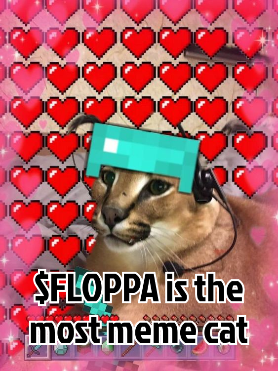 Show how much you love $FLOPPA