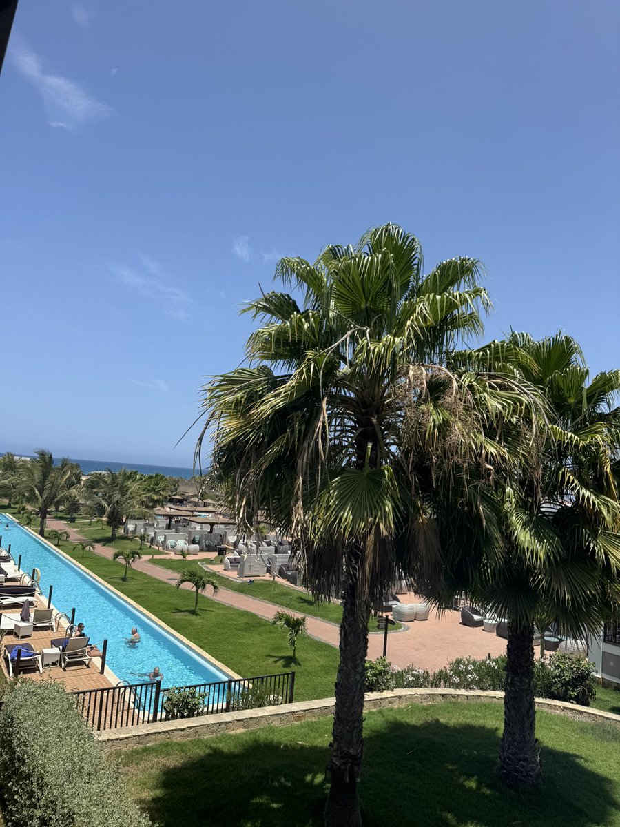 Nas Zreik tweet media