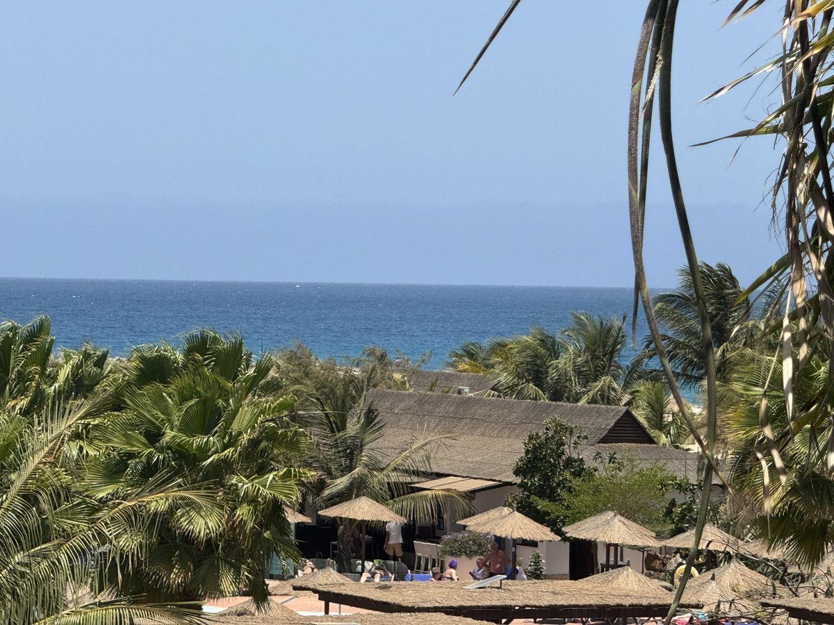 Nas Zreik tweet media