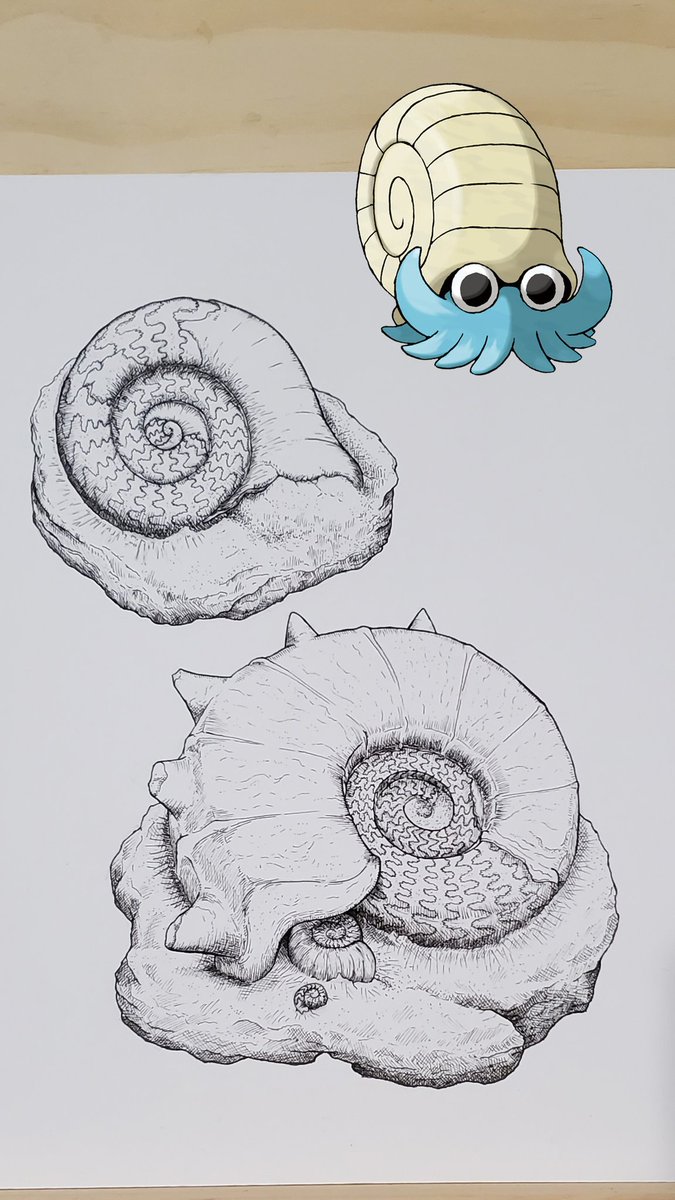 Starting working on Pokemon fossil scientific illustrations! More to come soon