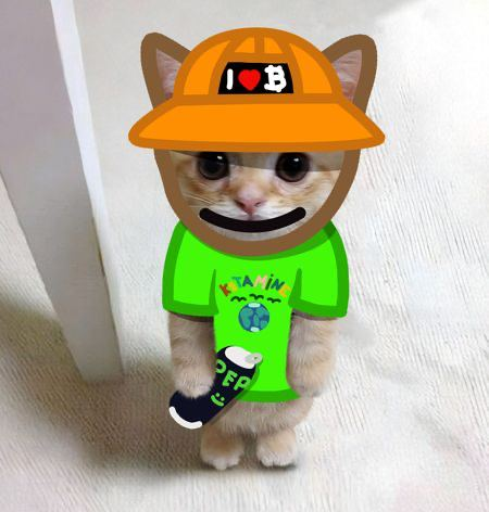 gatoonsol's tweet photo. jerome is bitcoin puppet coded

do not fade

jerome. https://t.co/uPKZtRqKBQ