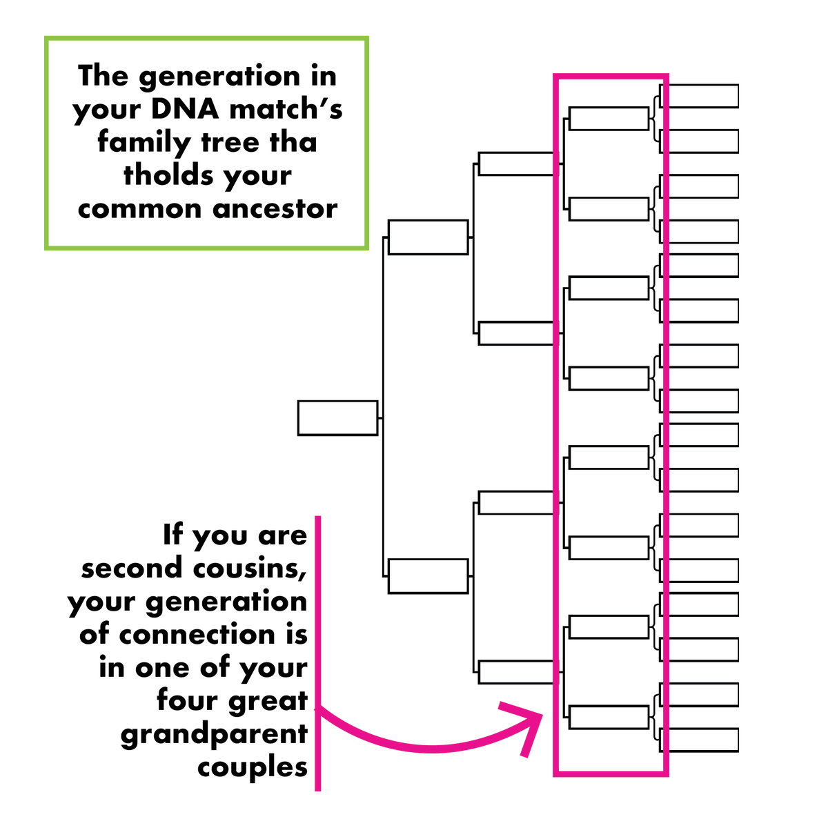 Your generation of connection is key to learning how you’re related to your DNA matches. It’s where you’ll find your most recent common ancestor(s) (MRCA). 

#yourDNAguide #DIYDNA #DNA #familyhistory #genealogy #YouCanDoDNA #geneticgenealogy