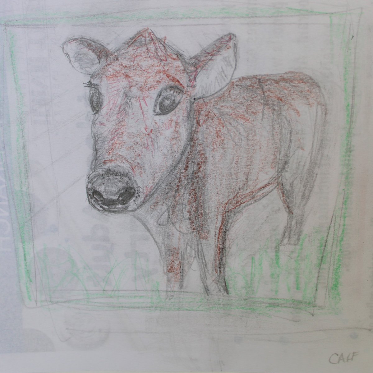 Drawing Party is back in session! Last week, Librarian Julia taught patrons how to draw newborn calfs using colored pencils. Join us for our next Drawing Party at the Lawrence Headquarters Branch on Wednesday, June 5th at 12:00pm. #drawingparty #lawrence #lawrencebranch #mcls