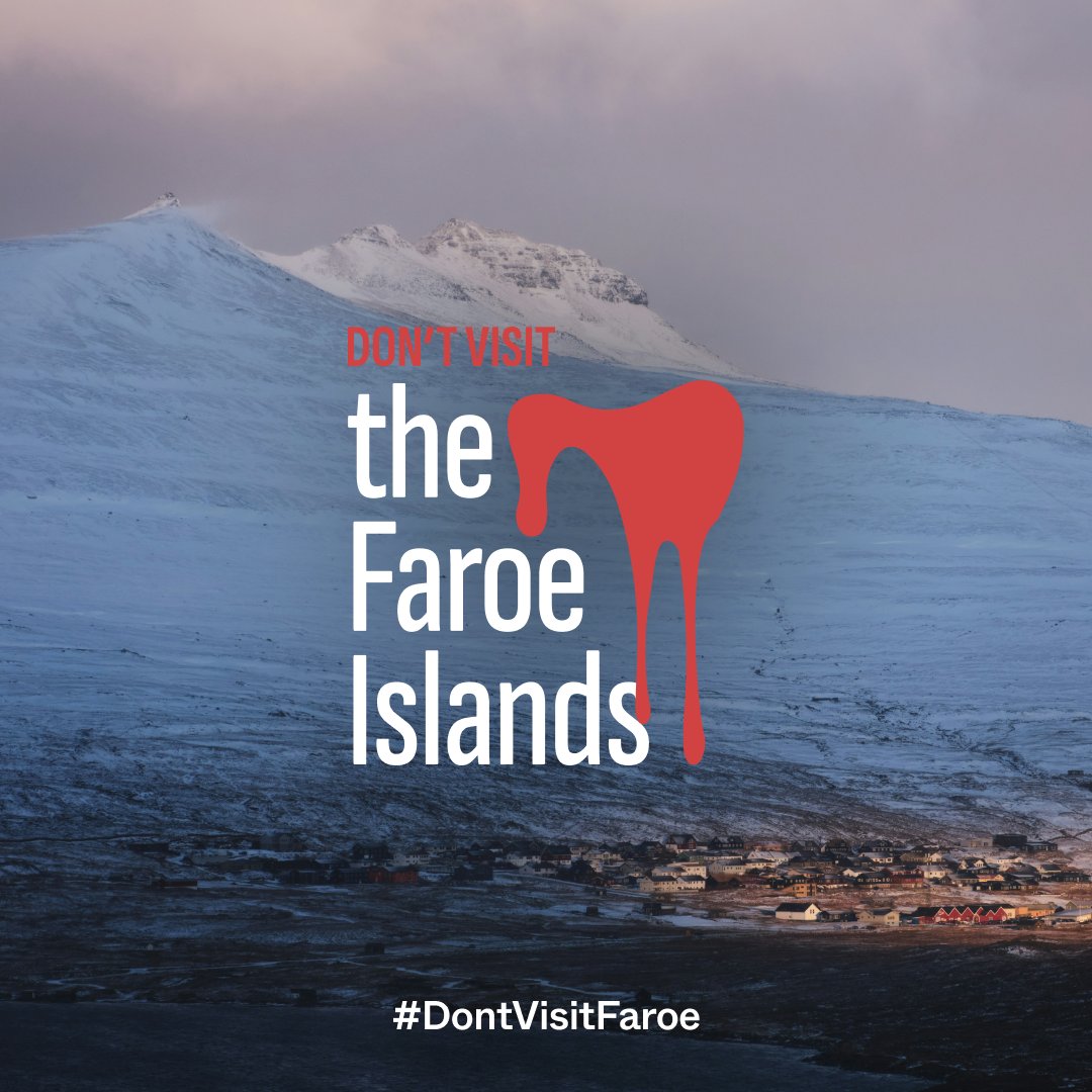 Help us stop the grind hunts in the Faroe islands! Link in bio to sign our petition  

#DontVisitFaroe #faroeislands #visitfaroeislands