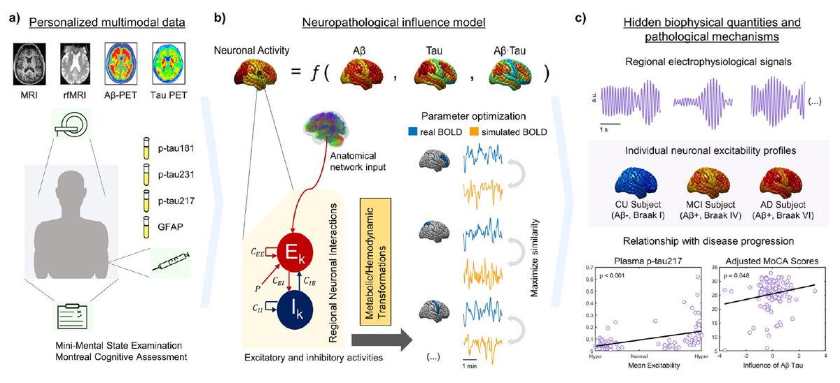📣Article out! Novel personalized whole-brain neural-mass models, adding spatial amyloid &amp; tau, to assess synergistic impact on functional activity in Alzheimer’s. From fMRI, AB/Tau PET, to realistic excitabilities and impact on blood markers &amp; cognition👉rdcu.be/dGQM6