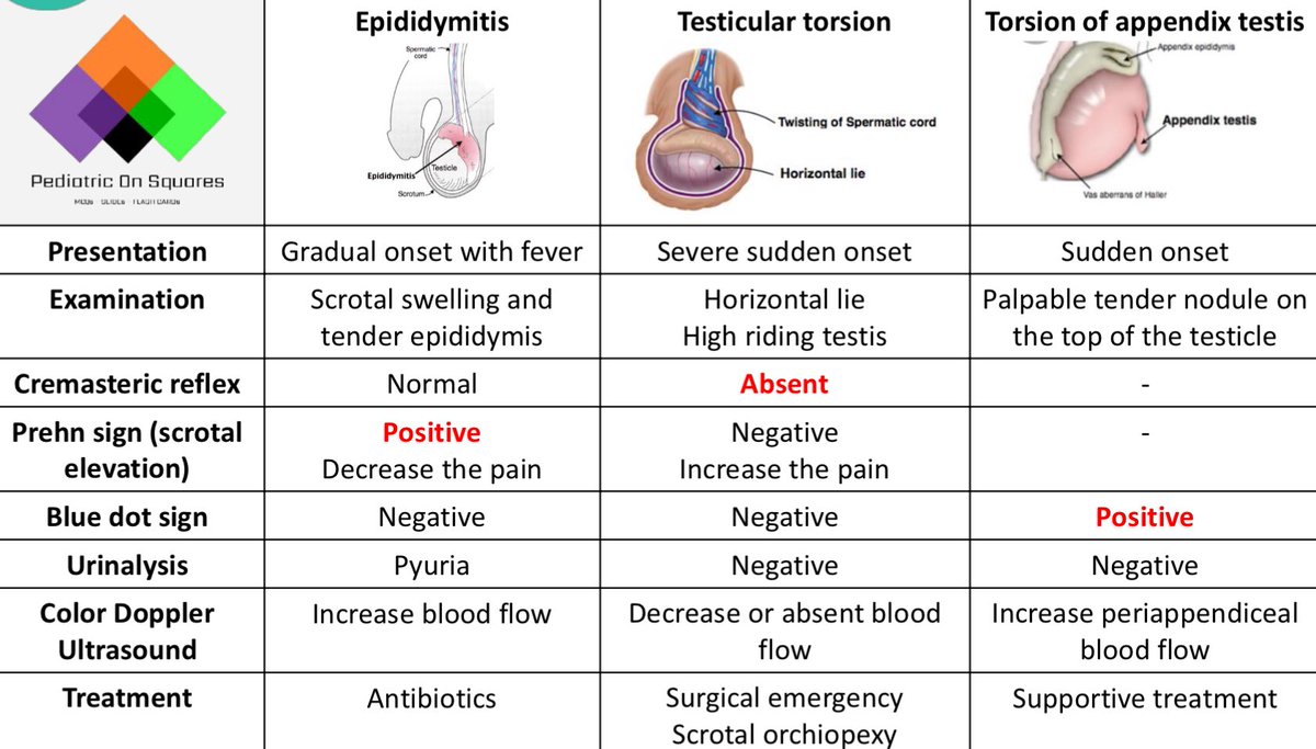 Differential Diagnosis of Acute Scrotal Pain

#PediatricSurgery #Urology