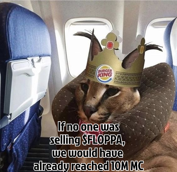 $FLOPPA speaks the truth