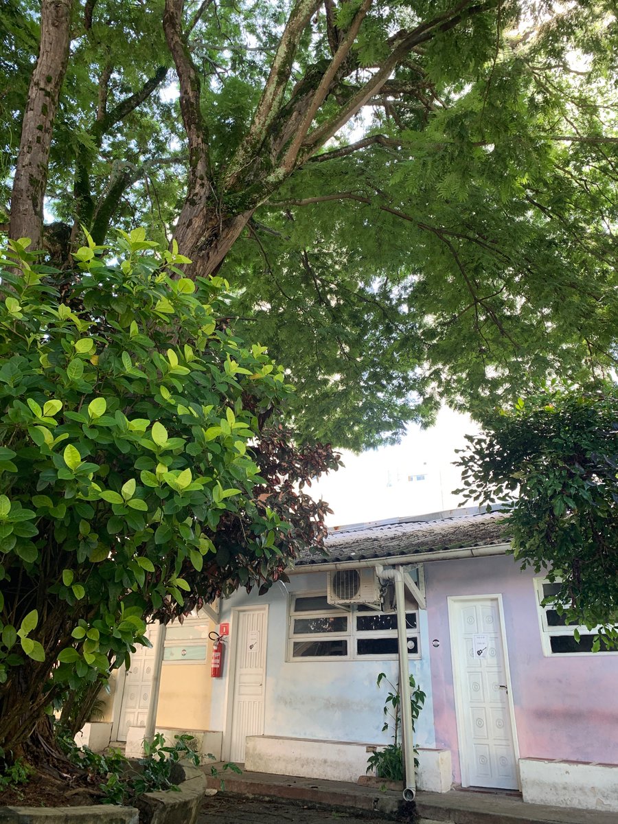 phtelesx's tweet photo. hj foi a primeira aula na ufba que consegui  pegar todo conteúdo sem pontas soltas kk papo reto https://t.co/e7TnR9t0iZ
