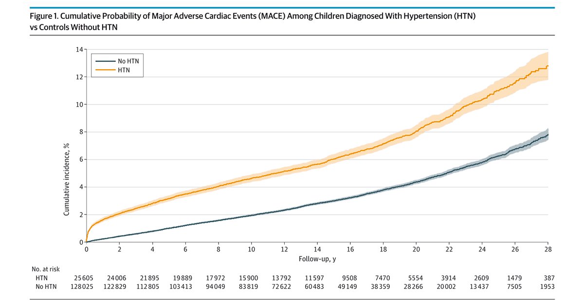 Youth diagnosed with hypertension are at higher risk of long-term cardiovascular disease, justifying improving blood pressure follow-up and control strategies among hypertensive youth. ja.ma/3UJJHdg #PAS2024