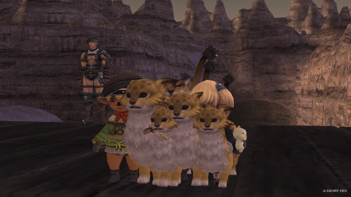 nyaaaBoss tweet media