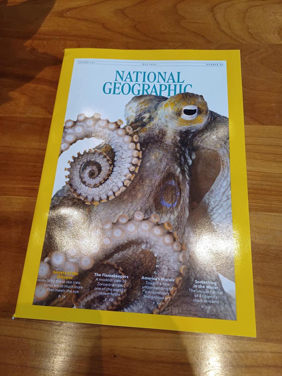 Great article in the @NatGeo: '... currently the science states that there is no ethical way of farming octopus.' So why would the Canary Islands allow an octopus farm to start up? Just stop it @PresiCan. #StopOctopusFarming @ciwf