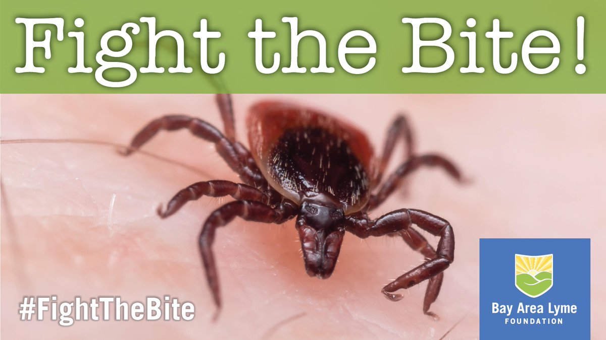 #DYK, research shows that the #Powassan virus can be transmitted from the blacklegged #tick within 15 minutes after attachment. There is no drug to treat Powassan virus infection. Read the study to learn more about the #Powassanvirus: bit.ly/3PAyZTB #FightTheBite