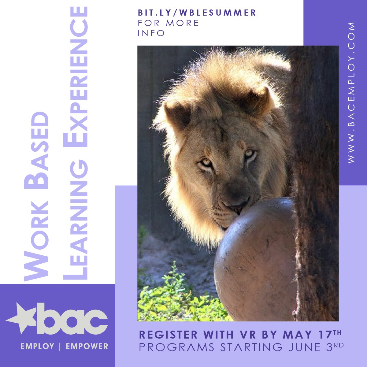 🐾 This summer, go wild at Brevard Zoo! Be a Keeper Aide, Commissary Assistant, or join Adventure Services. Learn, work, and play outdoors. 🌳 📅 June 3-20 & July 8-25 📍 Melbourne, FL ⏰ 9:00 AM - 2:30 PM Spaces are filling fast! bit.ly/WBLESummer #LearnToEarn