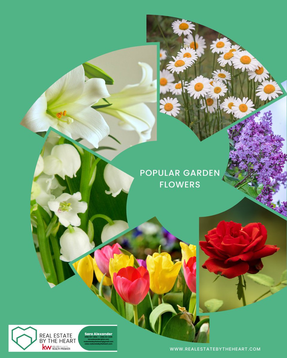 🌸 “Spring into your new home with a garden that blooms as beautifully as these popular flowers! 🏡🌸 #HomeSweetHome #GardenGoals” 🌼

#springsavings #realestate #realestatebytheheart #saraalexanderrealestate #realestategoals #realtor #homegoals #househunting #dreamhome