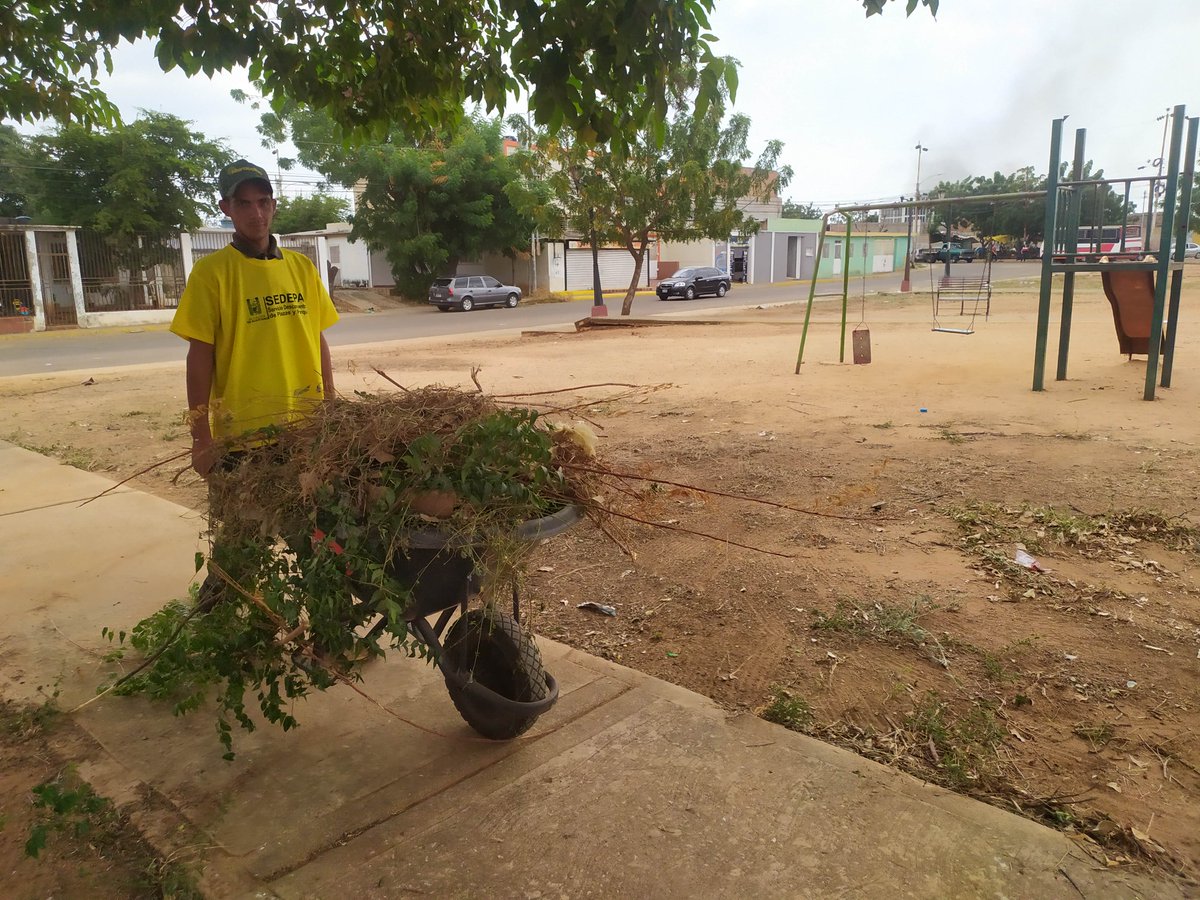 ¡Feliz lunes! 🌞 Iniciamos la semana con energía y compromiso para mantener nuestras plazas y parques limpios y verdes. Recuerda, ‘cuidar de nuestros espacios verdes es responsabilidad de todos’.#CuidemosNuestrosParques
