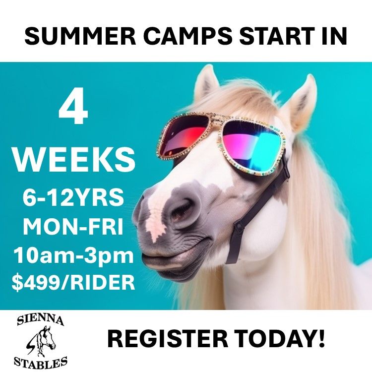 We are counting down to Summer Camp and they are filling fast!
Register your rider today. One week of fun, a lifetime of memories.
buff.ly/2rJixbA
