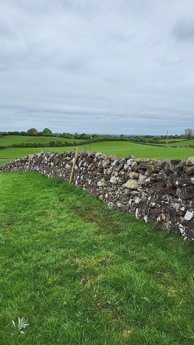 Fóireann spallaí do bhallaí chomh maith le clocha móra.....

#ballaínagaillinhe
#galwaywalls 
#modhroim
#myback