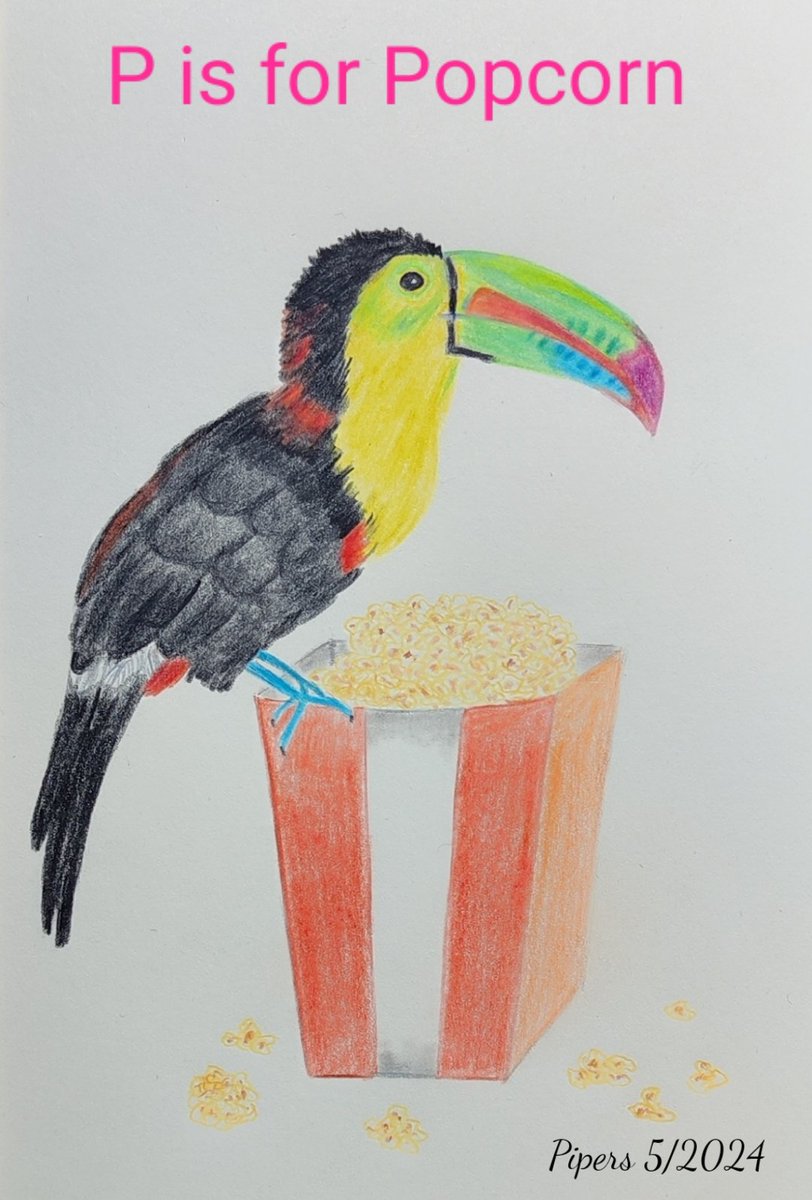 P is for Popcorn @AnimalAlphabets Here is a fishing toucan enjoying popcorn🍿 Happy AAMonday everyone. Have a great week! 🍿🐦 #animalalphabets #illustration #Pencildrawing #birds #tucan #popcorn #art #artchallenge