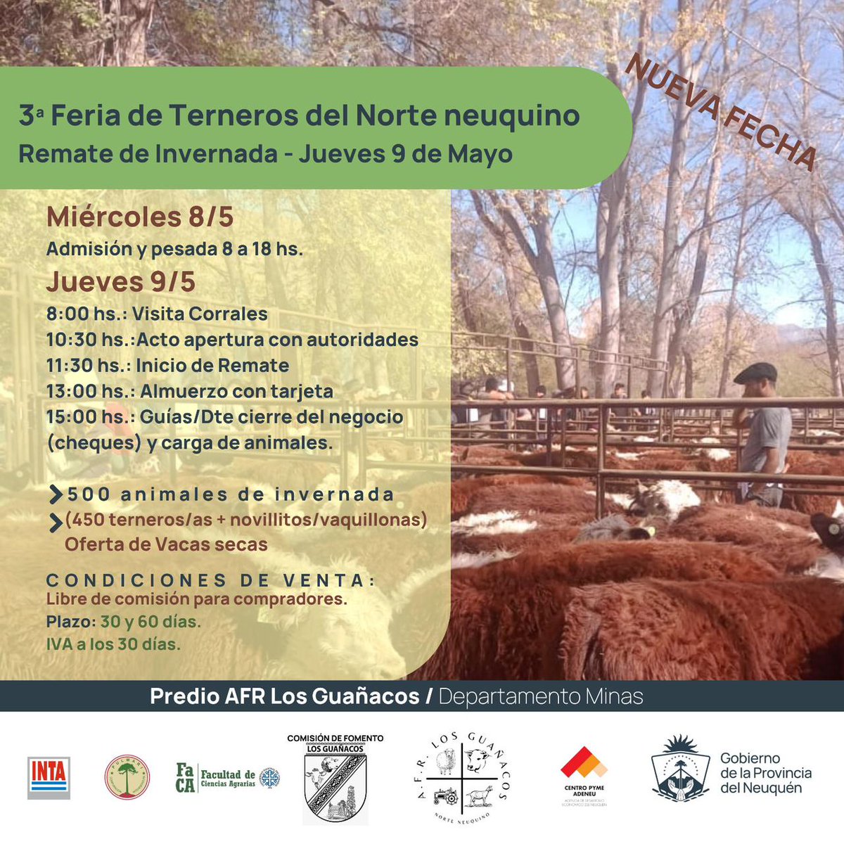 ¡NUEVA FECHA! 📆 👉¡No te pierdas la 3a Feria de Terneros del norte neuquino que se desarrollará en #Guañacos! 🐄🐄 #ProducciónEvoluciona #Neuquén #DesarrolloGanadero