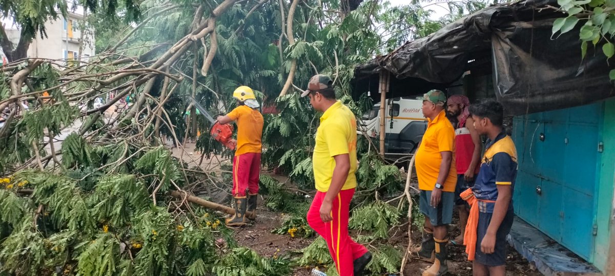 Due to rain and thunderstorm activity, tree falling leading to road blockade in many places near Bhubaneswar. SRC has directed Fire Services, ODRF and OFDC personnel to clear it immediately .Tree cutting and road clearance is going on.@ ADDITIONAL SPECIAL RELIEF COMMISSIONER