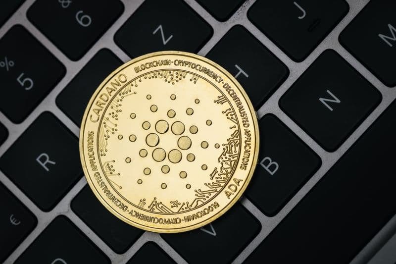 #Cardano is like Google during the dot-com bubble. Looks boring in the beginning of the dot-com bubble. Rest of the businesses vanished in the bubble. I think now they are meme coins, number go up layer1s, that support these memes. #Cardano is going to outperform in the long run.