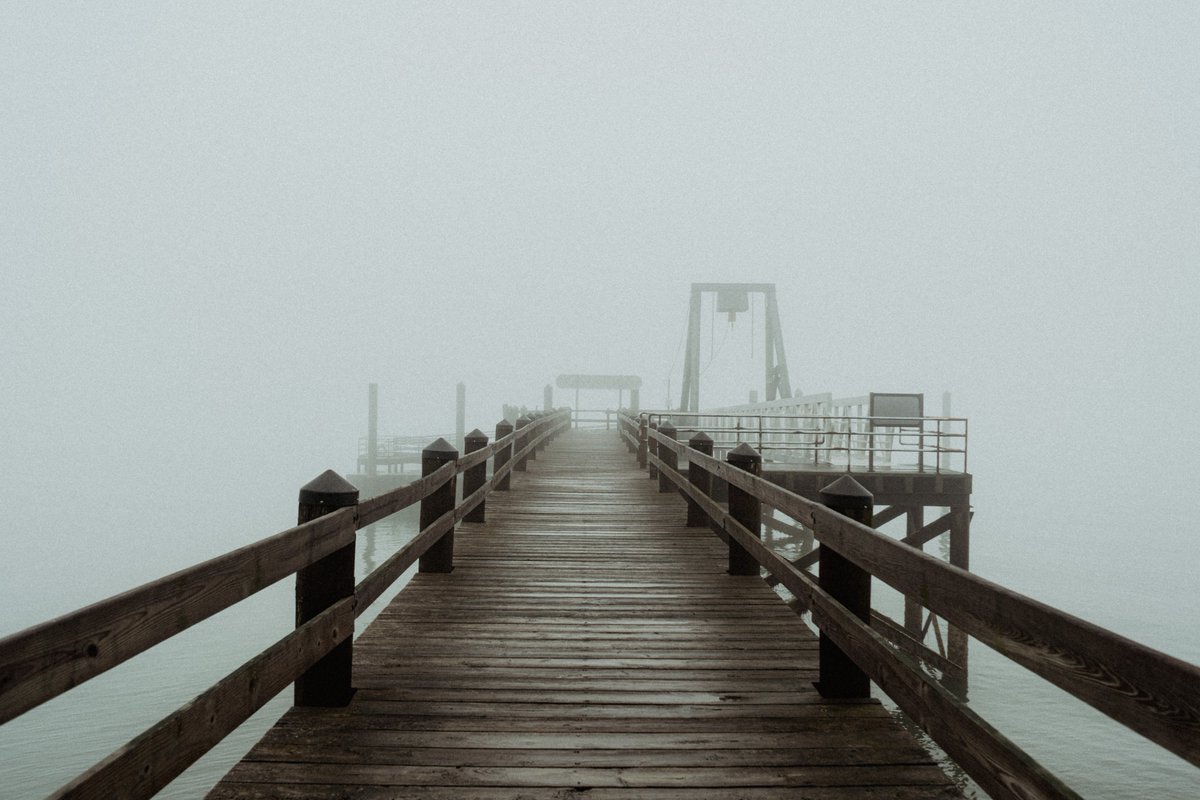 Photos from a foggy morning