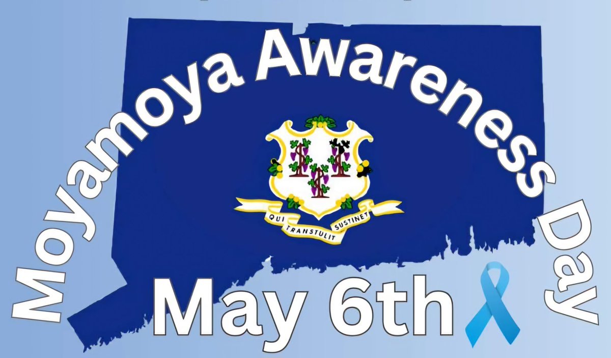 World Moyamoya Day - May 6th!💙
~~~~~~~~~
#moyamoya #moyamoyadisease #awareness #riseawareness #moyamoyawarrior #moyamoyaawareness #moyamoyastrong #moyamoyasurvivor #stroke #strokesurvivor #strokeawareness