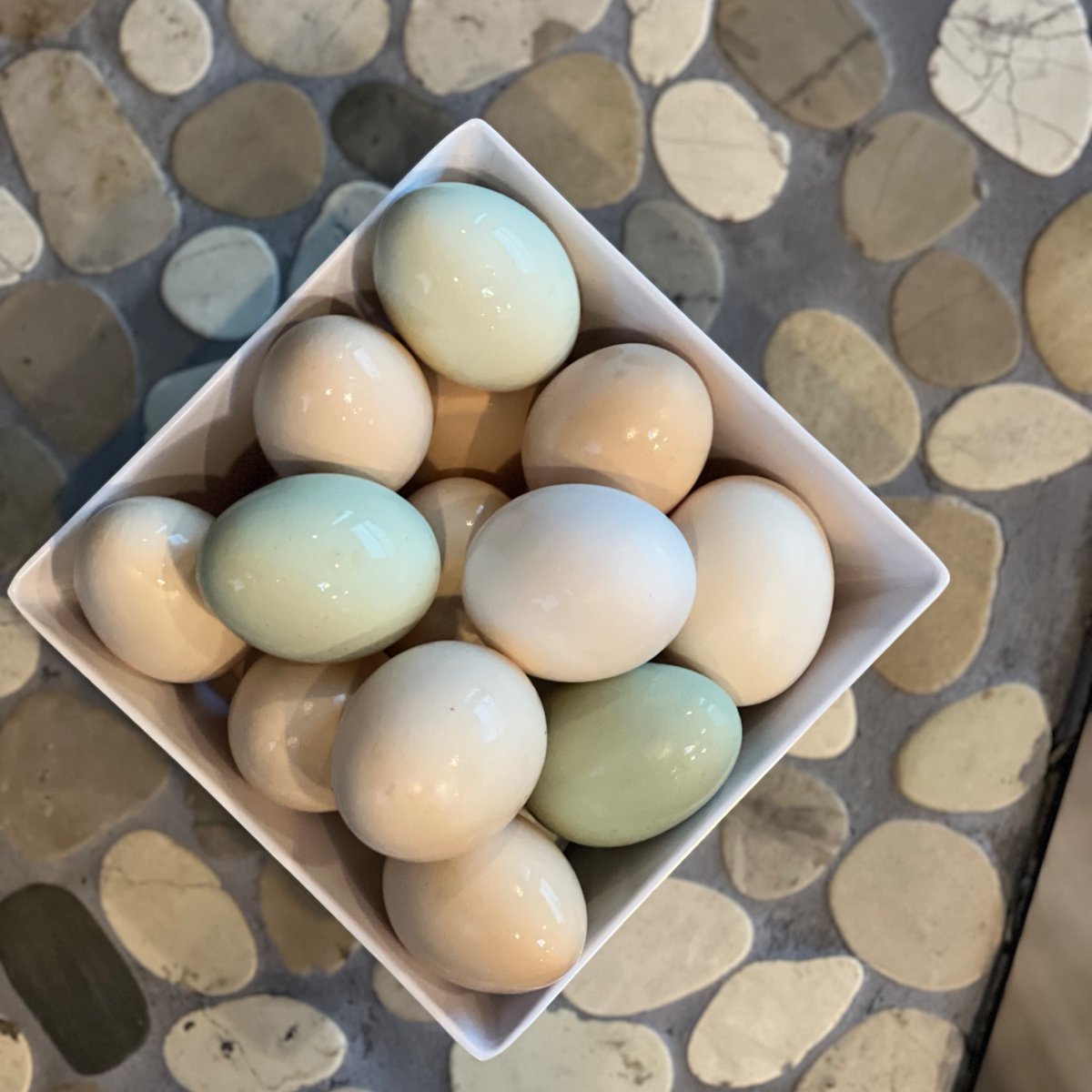 🐓🥚Check out these stunning eggs that Shannon collected from the neighbour’s chickens. We love Vancouver Island so much 💖 Have a great Monday everyone!
#trimlightvanisle #permanentholidaylights #yearroundlighting #securitylighting  #energyefficient #lifetimewarranty