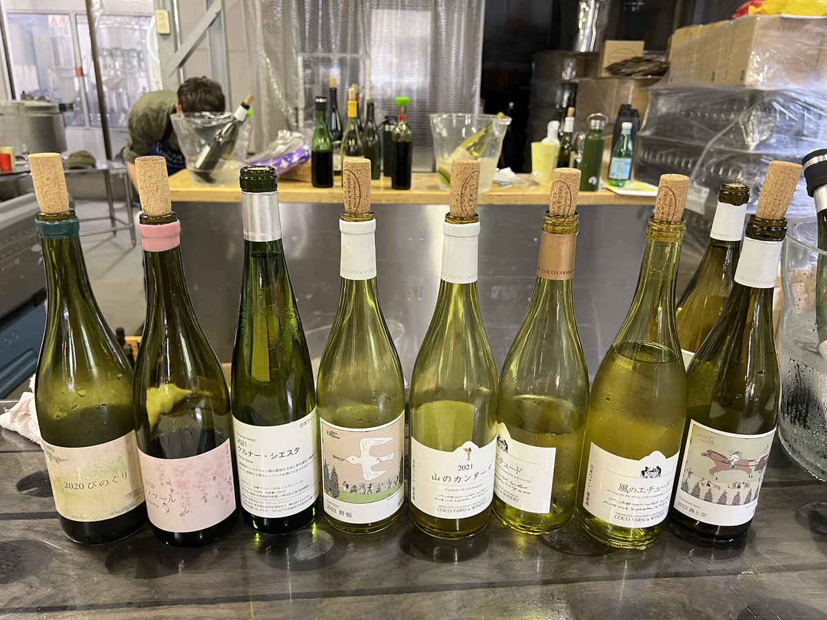 konuma_mitsuyo's tweet photo. #cocofarm &winery
#ウィンヤード・デイズ
最終日でしたので、現地の様子を見に行きました。
普段は飲むことのできないワインも提供しているというこの期間。
車のナンバーを見ると、
とちぎ=埼玉県>群馬県が多かったように感じます。
軽快なトークと共にこころみ学園の歴史を知ることもできる工場見学会も好評だったようです。
今日は暑さも控えめで過ごしやすい連休最終日でした。
https://t.co/Shn5z597hI
#ココワイン
#ココファーム
#ワイナリー
#足利市