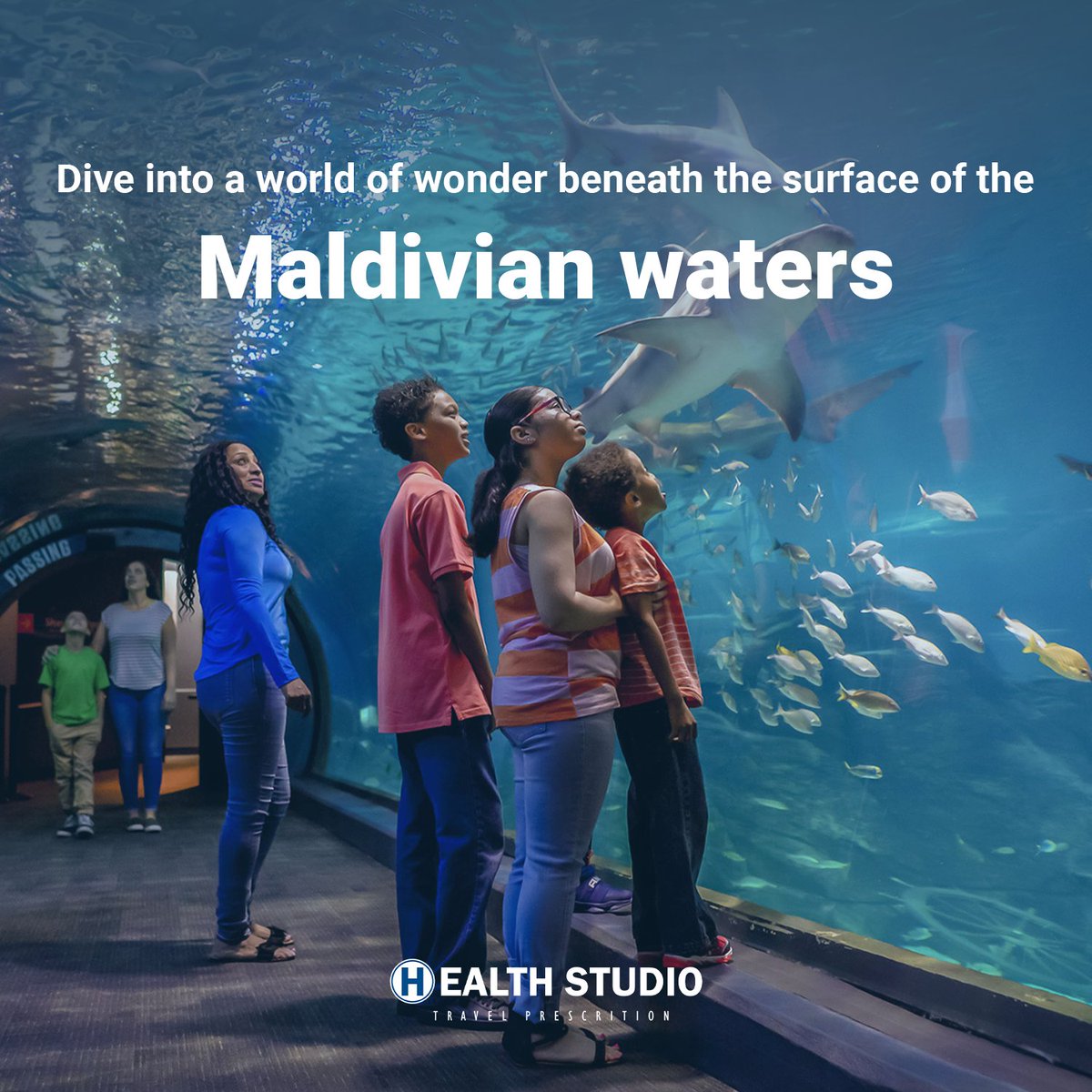 Dive into a world of wonder beneath the surface of the Maldivian waters. Explore colorful coral reefs teeming with marine life, swim alongside majestic manta rays, and encounter vibrant tropical fish in their natural habitat.
get your ticket now:
+9647812900002
+9647712900002